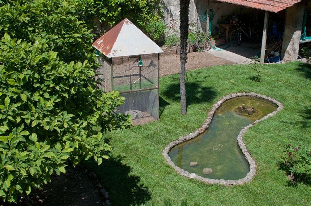 مبيت وإفطار بيزا Borgo Largo 51 المظهر الخارجي الصورة